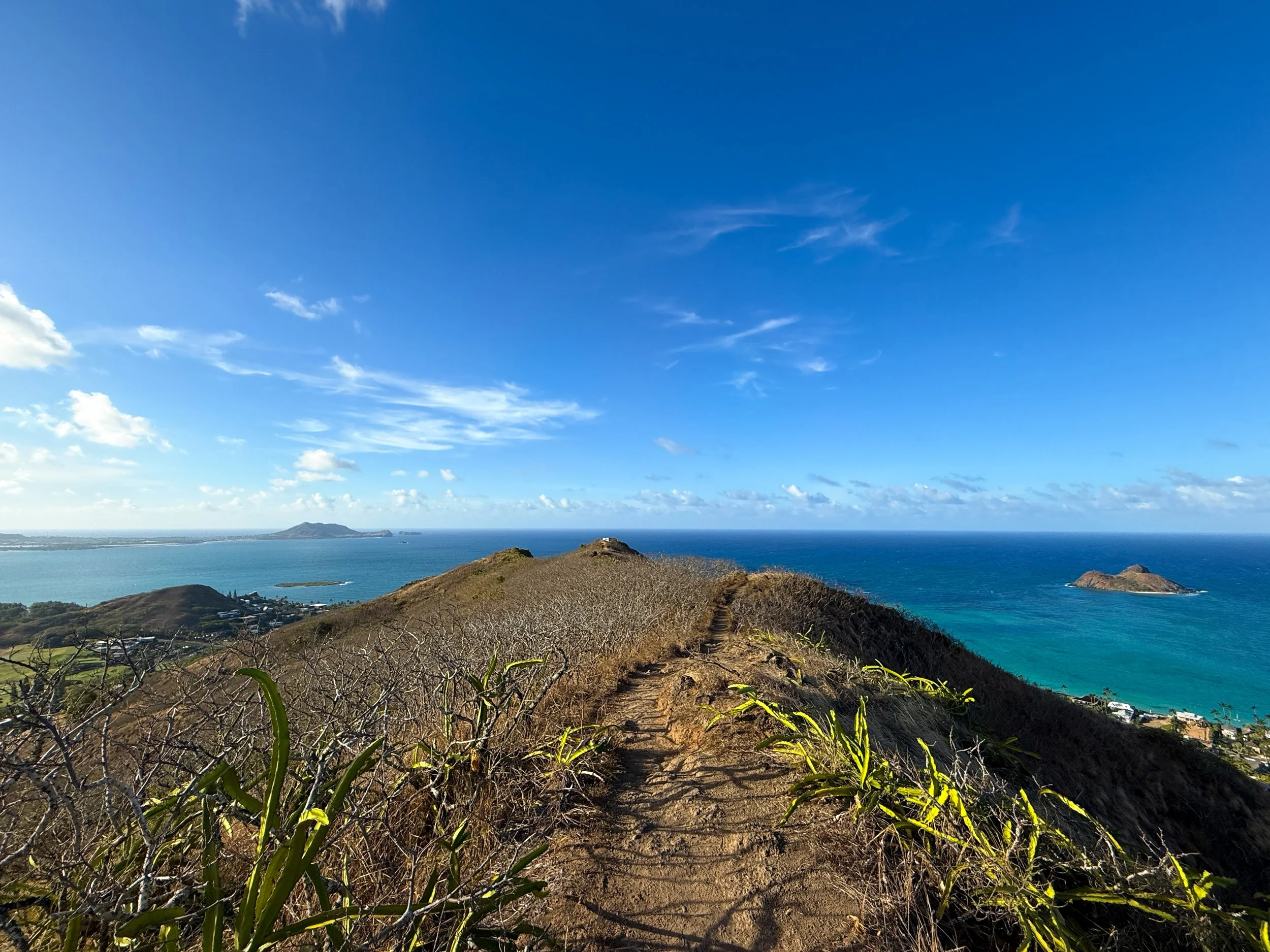 Hiking the Back Lanikai Pillbox Trail (Kaʻiwa Ridge), Oʻahu
